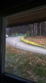 팜모닝 자유주제·자유게시판 게시글 이미지