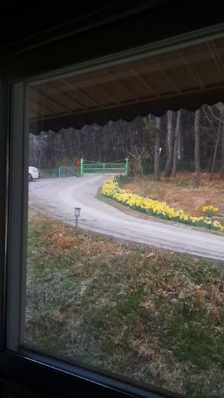 bpjh9173님의 자유주제·자유게시판 작성글 사진