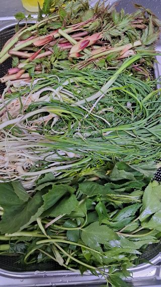 bpjh9173님의 자유주제 · 자유게시판 작성글 사진