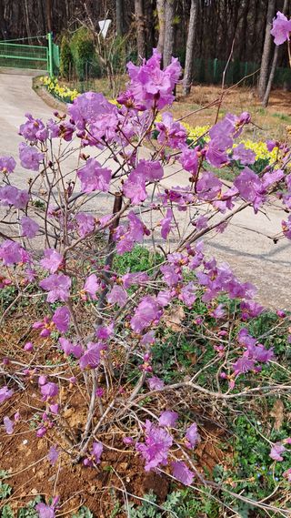 bpjh9173님의 자유주제 · 자유게시판 작성글 사진