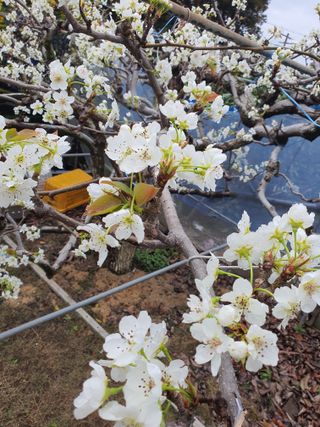 하나라도 소중하게님의 자유주제 · 자유게시판 작성글 사진