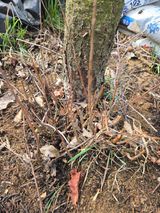 팜모닝 자유주제·자유게시판 게시글 이미지