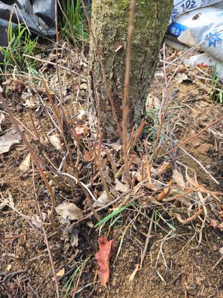 박상근님의 자유주제 · 자유게시판 작성글 사진