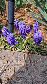 bpjh9173님의 자유주제·자유게시판 작성글 사진