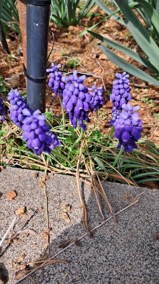 bpjh9173님의 자유주제 · 자유게시판 작성글 사진