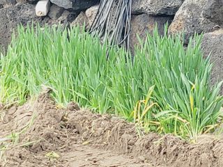 한경훈님의 자유주제 · 자유게시판 작성글 사진