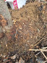 박상근님의 자유주제·자유게시판 작성글 사진