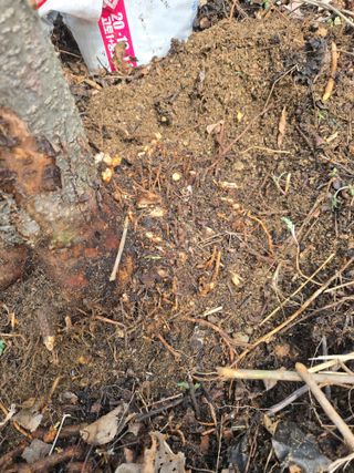 박상근님의 자유주제 · 자유게시판 작성글 사진