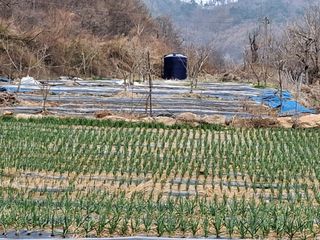 MSG0074님의 자유주제 · 자유게시판 작성글 사진