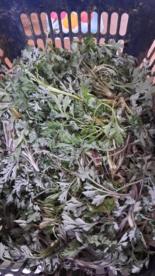 bpjh9173님의 자유주제 · 자유게시판 작성글 사진