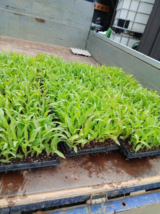 차민주님의 자유주제 · 자유게시판 작성글 사진