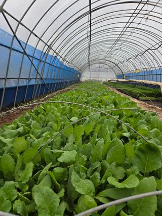 성실한 농부님의 자유주제 · 자유게시판 작성글 사진