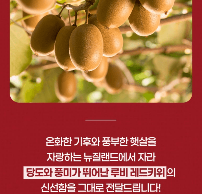 스피드번님의 장터 판매 상품 [제스프리 루비레드키위] 첨부 사진