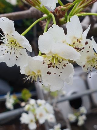 하나라도 소중하게님의 자유주제 · 자유게시판 작성글 사진