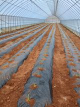 차민주님의 자유주제·자유게시판 작성글 사진