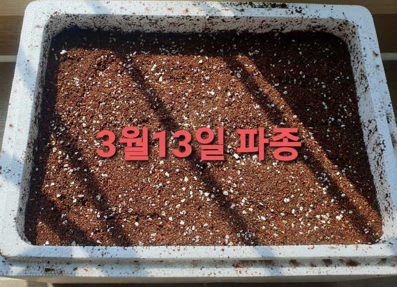 황강순님의 장터 판매 상품 [잔대씨앗 ] 첨부 사진