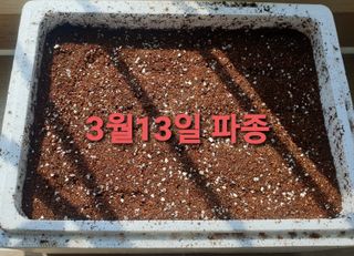 황강순님의 작성글 사진