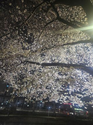 베리첼님의 자유주제 · 자유게시판 작성글 사진