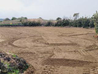 한경훈님의 자유주제 · 자유게시판 작성글 사진