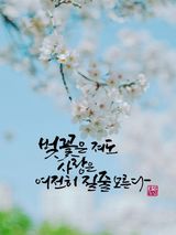 팜모닝 자유주제·자유게시판 게시글 이미지