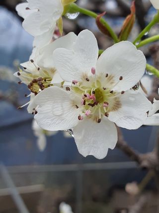 하나라도 소중하게님의 자유주제 · 자유게시판 작성글 사진