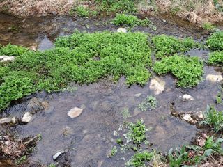 MSG0074님의 자유주제 · 자유게시판 작성글 사진