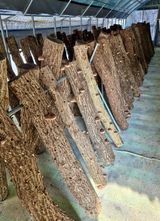 팜모닝 기타작물·자유게시판 게시글 이미지