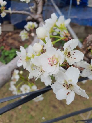 하나라도 소중하게님의 자유주제 · 자유게시판 작성글 사진