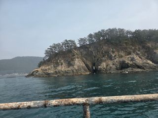 0104436291님의 작성글 사진