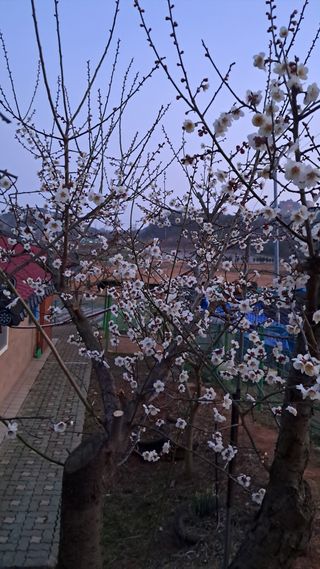 bpjh9173님의 자유주제 · 자유게시판 작성글 사진