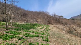 여우내 이순홍님의 자유주제 · 자유게시판 작성글 사진