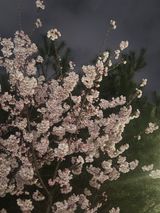 팜모닝 자유주제·자유게시판 게시글 이미지