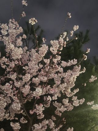 베리첼님의 자유주제 · 자유게시판 작성글 사진