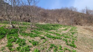 여우내 이순홍님의 자유주제 · 자유게시판 작성글 사진