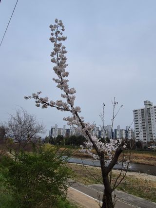 유일기님의 자유주제 · 자유게시판 작성글 사진