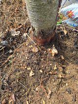 팜모닝 자유주제·자유게시판 게시글 이미지