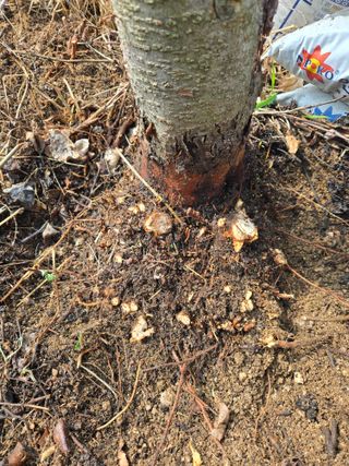 박상근님의 자유주제 · 자유게시판 작성글 사진