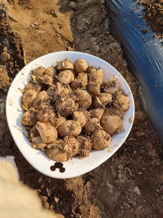 조경준님의 자유주제 · 자유게시판 작성글 사진