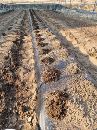 조경준님의 자유주제 · 자유게시판 작성글 사진