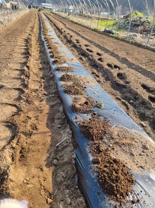 조경준님의 자유주제 · 자유게시판 작성글 사진