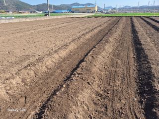 사천시향촌동 돼지띠님의 자유주제 · 자유게시판 작성글 사진