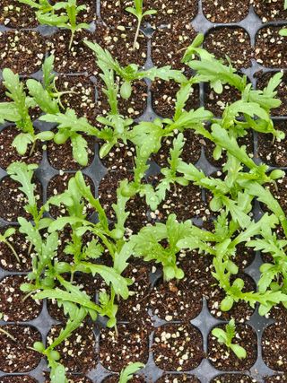 종일님의 자유주제 · 자유게시판 작성글 사진