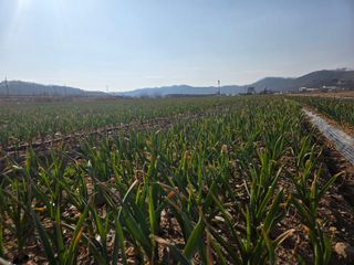 김태혁님의 자유주제 · 자유게시판 작성글 사진