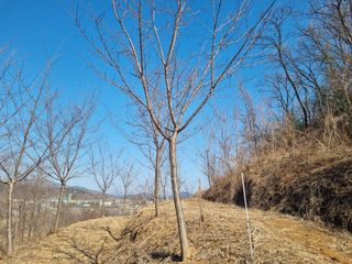 기중권님의 자유주제 · 자유게시판 작성글 사진