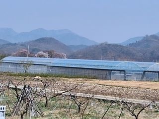 MSG0074님의 자유주제 · 자유게시판 작성글 사진