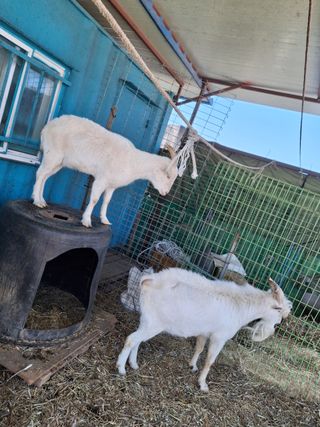 김용만님의 자유주제 · 자유게시판 작성글 사진