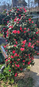 팜모닝 자유주제·자유게시판 게시글 이미지