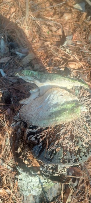 김현영님의 자유주제 · 자유게시판 작성글 사진