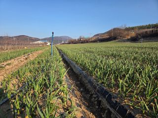 김태혁님의 자유주제 · 자유게시판 작성글 사진