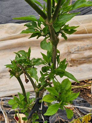 종일님의 자유주제 · 자유게시판 작성글 사진